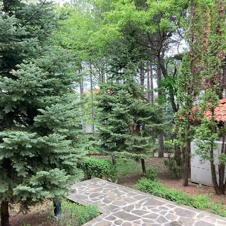 Lovely Apartment Santa Marina Созополь Экстерьер фото