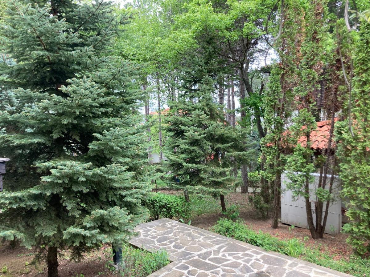 Lovely Apartment Santa Marina Созополь Экстерьер фото
